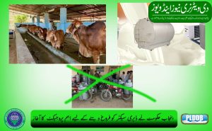 پنجاب میں ڈیری انٹرپرائز کی پیداواری میں اہم پروجیکٹ کا آغاز