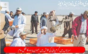 سردیوں میں گرم پانی کی تلاش میں مہمان پرندہ کا قتل عام