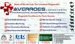 ads Averroes-Laboratories-For-Web-1