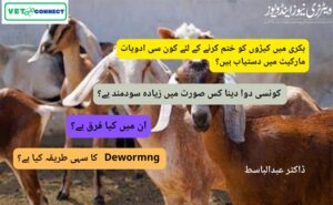 Deworming-in-Goats-1