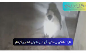 نایاب لنگور ریسکیو، آٹھ غیر قانونی شکاری گرفتار