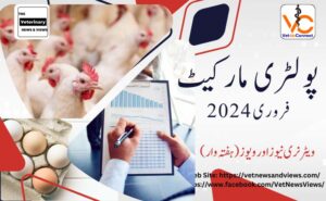 Poultry prices for February 2024