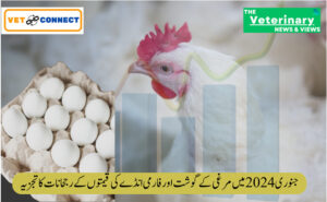جنوری-2024-میں-مرغی-کے-گوشت-اور-فارمی-انڈے-کی-قیمتوں-کے-رجحانات-کا-تجزیہ