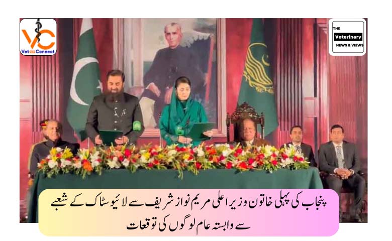 پنجاب کی پہلی خاتون وزیر اعلی مریم نواز شریف سے لائیوسٹاک کے شعبے سے وابستہ لوگوں کی توقعات