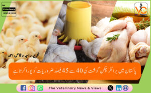 پاکستان میں برائلر چکن گوشت کی 40 سے 45 فیصد ضروریات کو پورا کرتا ہے