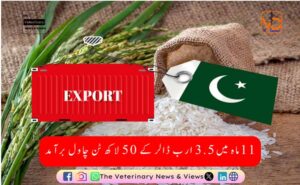 رواں مالی سال کے 11 ماہ میں پہلی بار 3.5 ارب ڈالر کے 50 لاکھ ٹن چاول برآمد