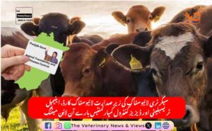 سیکرٹری لائیوسٹاک کی زیر صدارت لائیوسٹاک کارڈ، اینیمل ٹریسبلیٹی اور ڈیزیز کنٹرول کمپارٹمنٹس بارے آن لائن میٹنگ