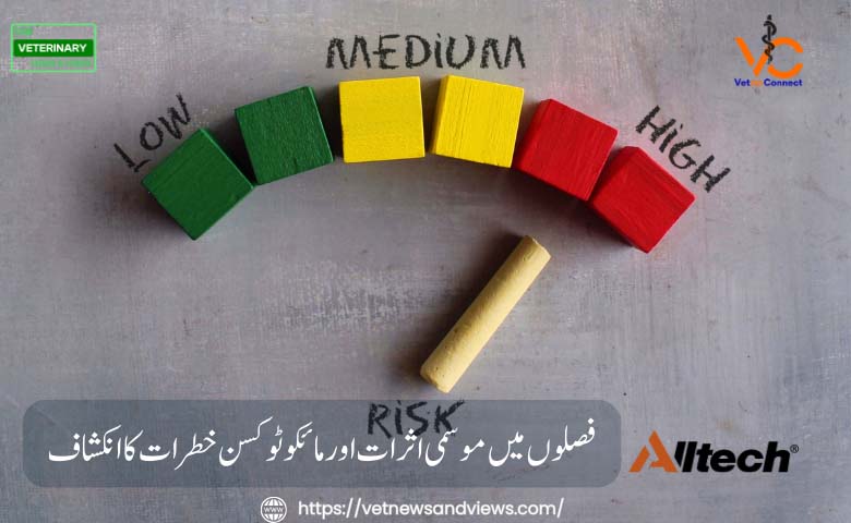  فصلوں میں موسمی اثرات اور مائکوٹوکسن خطرات کا انکشاف