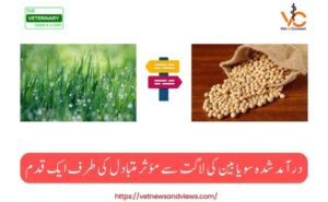 A Step Toward Cost-Effective Alternatives to Imported Soybean Meal