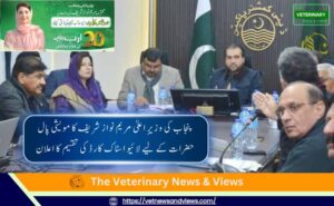 پنجاب کی وزیرِ اعلیٰ مریم نواز شریف کا مویشی پال حضرات کے لیے لائیو اسٹاک کارڈ کی تقسیم کا اعلان