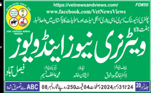 دی ویٹرنری نیوز اینڈ ویوز، شمارہ نمبر 08 والیوم 20۔ (24-31) دسمبر 2024