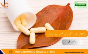 پاکستان میں اینٹی بائیوٹکس کے متبادل