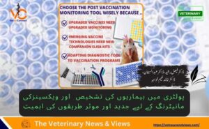 پولٹری میں بیماریوں کی تشخیص اور ویکسینزکی مانیٹرنگ کے لیے جدید اور موثر طریقوں کی اہمیت
