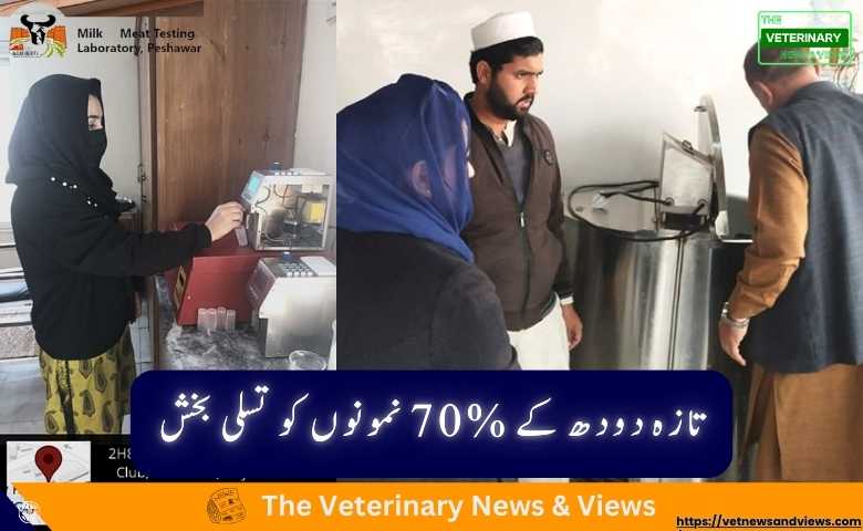 تازہ دودھ کے %70 نمونوں کو تسلی بخش