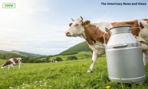 دودھ کی پیداوار میں اضافہ