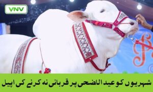 مراکش کا خشک سالی کا بحران: مویشیوں میں کمی عید الاضحی کی روایات کو متاثر کرتی ہے