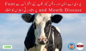 یو وی اے ایس اور ویٹس کیئر کلب کے اشتراک سے Foot and Mouth Disease پر مشاورتی اجلاس کا انعقاد