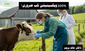 100% ویکسینیشن کب ضروری ہے؟