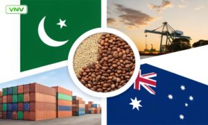 پاکستان آسٹریلیا اور افریقہ سے سالانہ 110 ارب روپے کی دالیں درآمد کرتا ہے۔