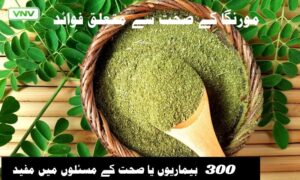 مورنگا کے صحت سے متعلق فوائد دریافت کریں: قدرت کا معجزہ درخت