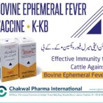 ads chakwal