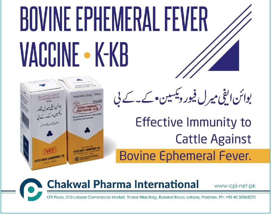 ads chakwal