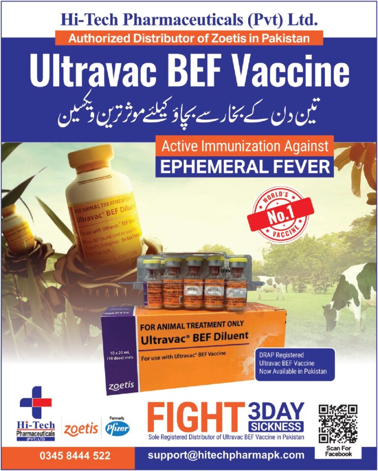 Ads Hi-Tech_page-0001