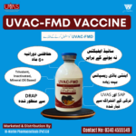 UVAC FMD