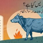 گرمی کا تناؤ کیا ہے؟ اسباب، علامات اور روک تھام