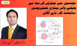 مویشیوں میں چیچڑوں کی وجہ سے پھیلنے والی بیماری تھیلیریوسس (سائیلنٹ کِلر) بارے آگاہی