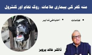منہ کھر کی بیماری علامات، روک تھام اور کنٹرول