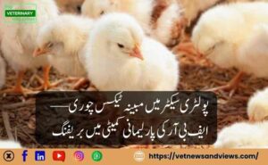 پاکستان کے پولٹری سیکٹر میں ٹیکس