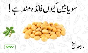 سویابین کے صحت بخش فوائد - جانئے سویابین کیوں فائدہ مند ہے