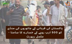 پاکستان کی قربانی کے جانوروں کی منڈی کو 500 ارب روپے کے خسارے کا سامنا - مکمل رپورٹ
