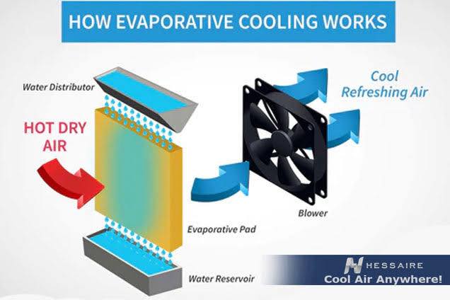 Evaporative Cooling vs Windchill Effect: Understanding the Science