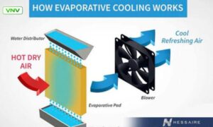 Evaporative Cooling vs Windchill Effect: Understanding the Science
