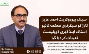 اہم بیوروکریٹک تبادلے – پنجاب