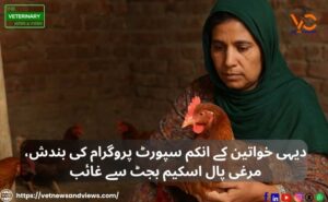 دیہی خواتین کے انکم سپورٹ پروگرام کی بندش، مرغی پال اسکیم بجٹ سے غائب
