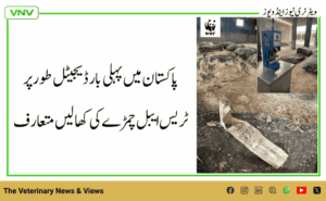 پاکستان میں پہلی بار ڈیجیٹل طور پر ٹریس ایبل چمڑے کی کھالیں متعارف