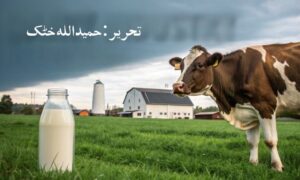 دودھ کی صنعت خطرے میں | وجوہات اور ممکنہ حل