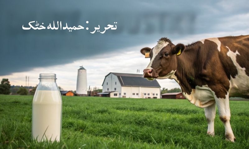 دودھ کی صنعت خطرے میں | وجوہات اور ممکنہ حل