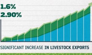 لائیو سٹاک کی برآمدات میں 1.6% سے 2.90% تک نمایاں اضافہ - تازہ اعداد و شمار