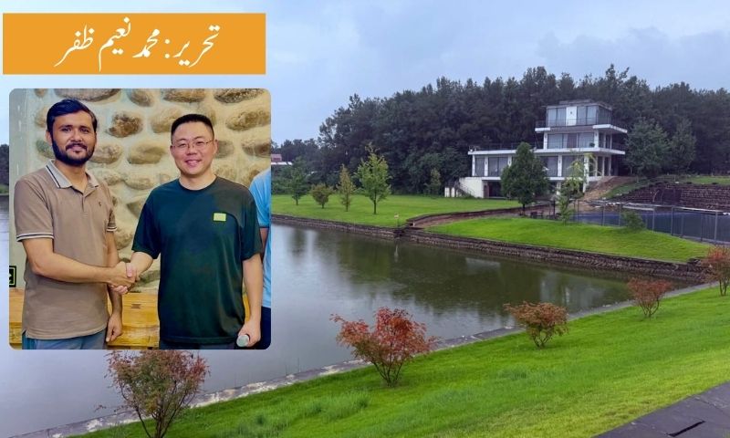 ویلڈن فارم بائے لن ژاؤ: سیچوان سے پاکستان کا کامیاب زرعی ماڈل