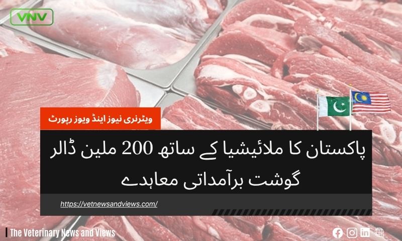 پاکملائیشیا کی ہائی ویلیو مارکیٹ تک رسائی کو فروغ دینے کے لیے جامع حکمتِ عملی وضعستان کا ملائیشیا کے ساتھ 200 ملین ڈالر گوشت برآمداتی معاہدے کی جانب اہم قدم