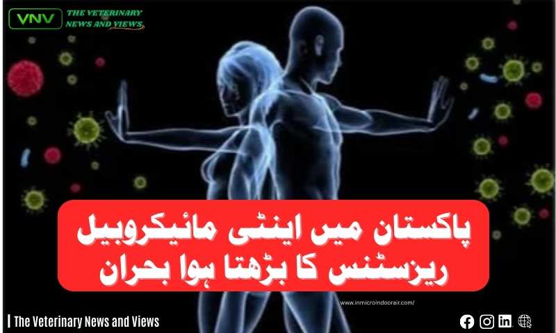 پاکستان میں اینٹی مائیکروبیل ریزسٹنس کا بڑھتا ہوا بحران