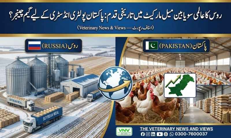 روس کی ریکارڈ سویا بین پیداوار