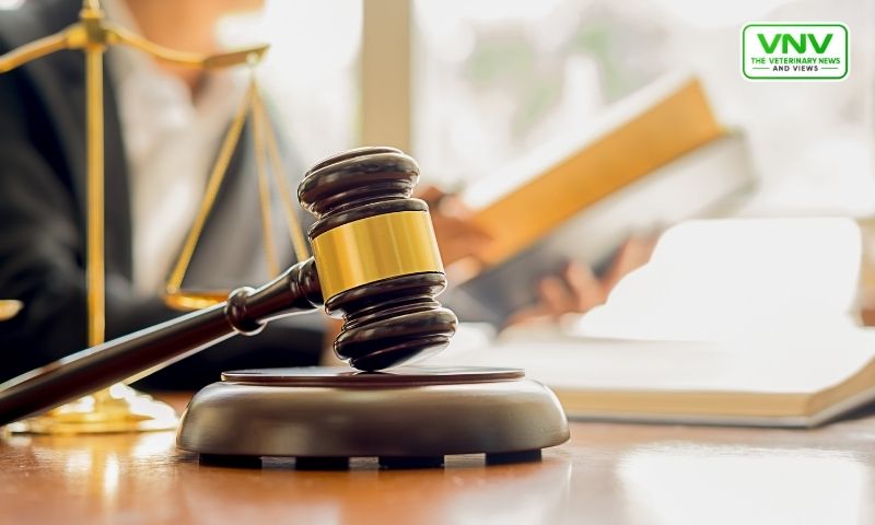 LHC نے تازہ پولٹری کارٹیل کیس میں CAT کی کارروائی روکنے سے انکار کر دیا۔