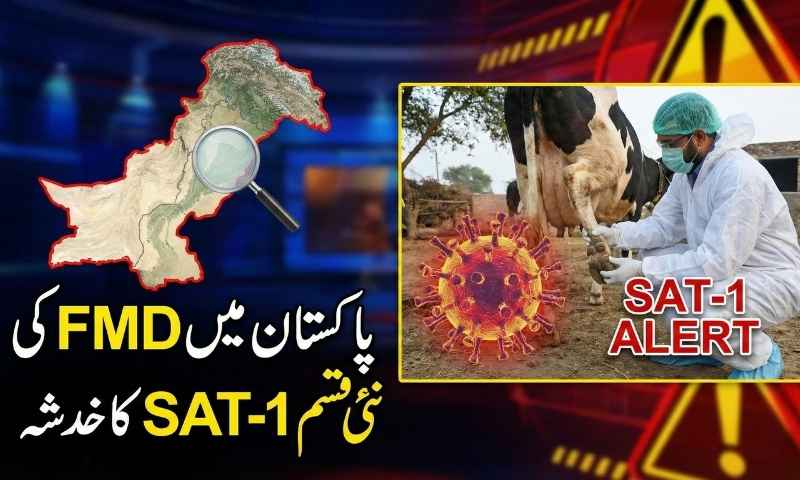 پاکستان میں FMD SAT-1 وائرس کے داخلے کا خدشہ، حکومتی الرٹ جاری