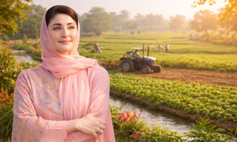 اپنا کھیت، اپنا روزگار پروگرام | پنجاب میں 50 ہزار افراد کو زرعی زمین