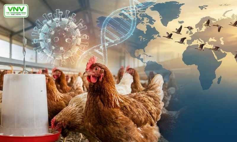 برڈ فلو: عالمی خطرہ، سائنسی حقائق اور پاکستان خصوصاً سندھ پر ممکنہ اثرات